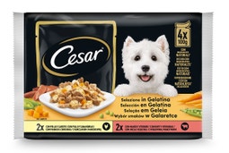 Selección en gelatina image