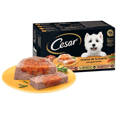 image large_mp4-recetas-de-la-huerta_1644845771208