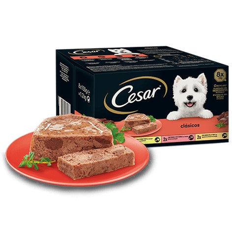 image large_mp8-cl-sicos_1644842513823