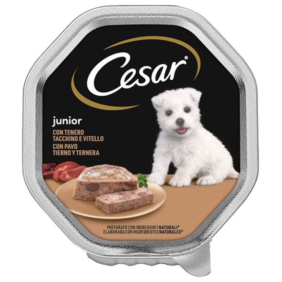 image TARRINA%20CESAR%20JUNIOR%20150g
