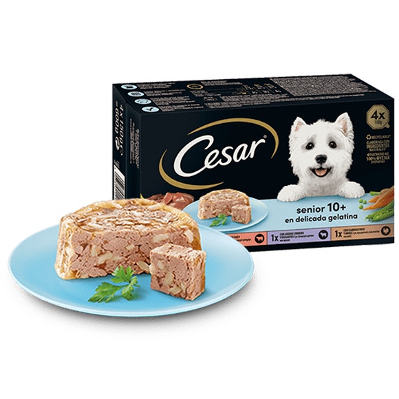 image large_mp4-senior_1644844299816