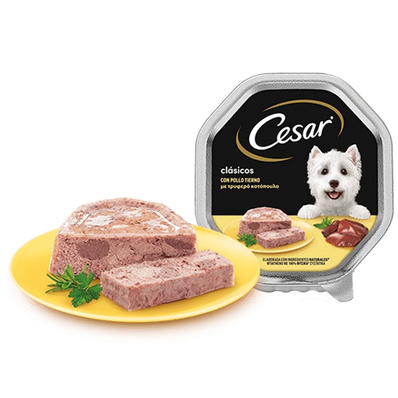 image large_tarrina-cesar-clasicos-con-pollo-150g_1644839241620