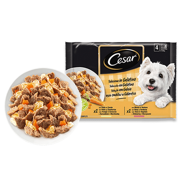 los perros pueden tomar gelatina