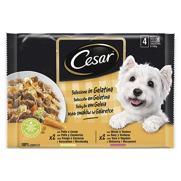 los perros pueden tomar gelatina